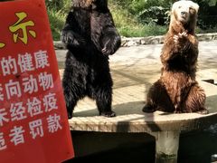 -贵州森林野生动物园
