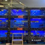 光明🈶️咩好吃的