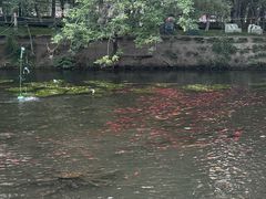 -水磨沟公园