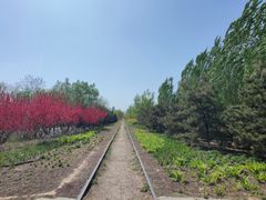 -永定河休闲森林公园