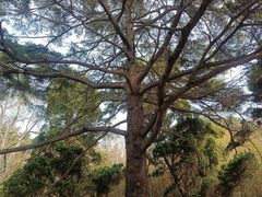 -青岛德国总督楼旧址博物馆