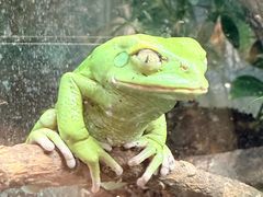 -上海大自然野生昆虫馆(东方明珠·爬宠昆虫探索中心)