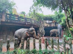 -长鹿旅游休博园