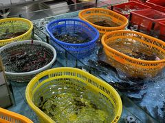 -隆都四季香饭店(碧海路店)