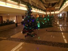 -深圳维景酒店-维景轩