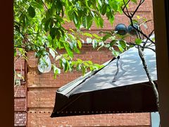 -Ocean's Table 欧舍