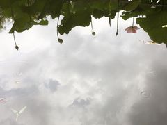-月牙潭公园