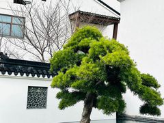 -广富林宰相府酒店·水云间
