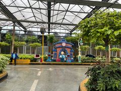 -南宫五洲植物乐园