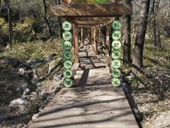 -大岭沟猕猴桃谷风景区
