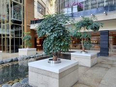 -上海外滩茂悦大酒店