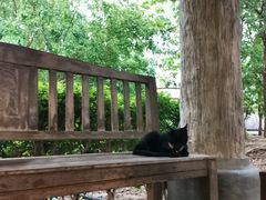 -清迈夜间动物园