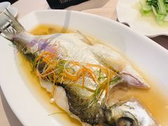 槽香野生大白鱼-徽珍源(龙茗路店)