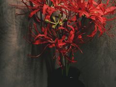 -BE NORMAL CAFE(霞溪路店)