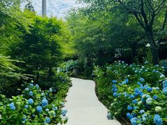 -三千院