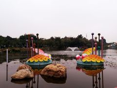 -映月湖公园
