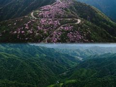 -永州阳明山国家森林公园