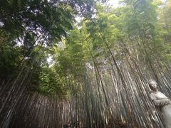 -敬亭山风景名胜区