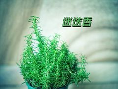 -Olé精品超市(上海虹桥南丰城店)