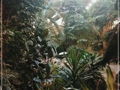 -滕头生态酒店(奉化店)