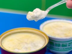 德禄酸奶-德禄酸奶(莫家街店)