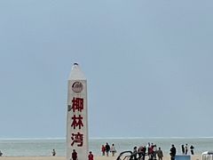 -东郊椰林