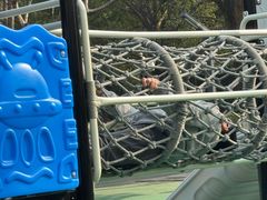 -苏州河梦清园环保主题公园