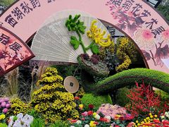 -杭州植物园