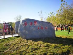 -北京鹿世界主题园