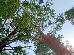 -白水寺森林公园