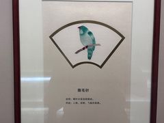 -苏州丝绸博物馆