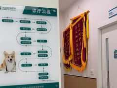 -瑞派康怡24h宠物医院·犬猫医疗中心·微创绝育(瑞景分院)