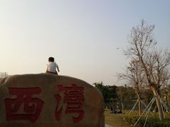 -宝安西湾红树林湿地公园