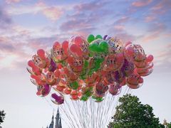 -上海迪士尼度假区