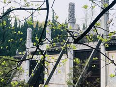 -苏州文庙(姑苏区)