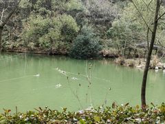 -千岛湖东南湖区