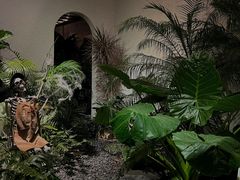 -漫笙舍Manse·咖啡·民宿