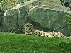 -北京野生动物园