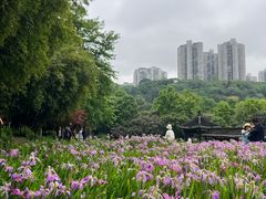 -龙头寺公园