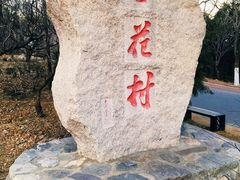 -北京凤凰岭