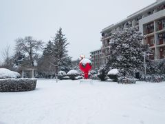 -西北农林科技大学(北校区)