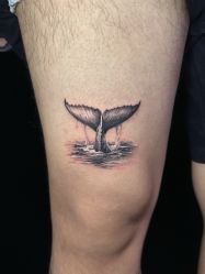 -MDZ STORE·TATTOO·耳饰