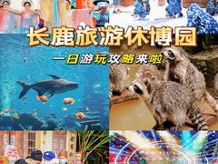 -长鹿旅游休博园