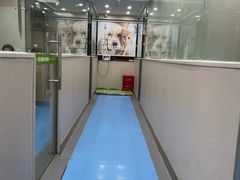 -瑞鹏·疫苗·绝育·宠物医院(金沙洲店)