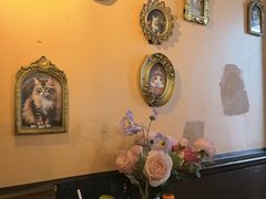 -猫岛主趣味餐厅(鼓浪屿店)