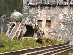 -贵州森林野生动物园