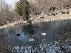 -长白岛森林公园