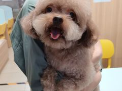 -宠福鑫康馨动物医院·骨科·眼科