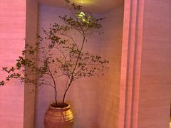 -舒小悦·舒养SPA·古法推拿(光环中心店)