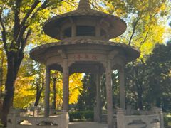 -玲珑塔公园